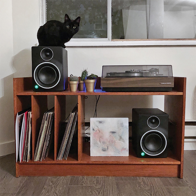 Photo of a cat on top of a speaker