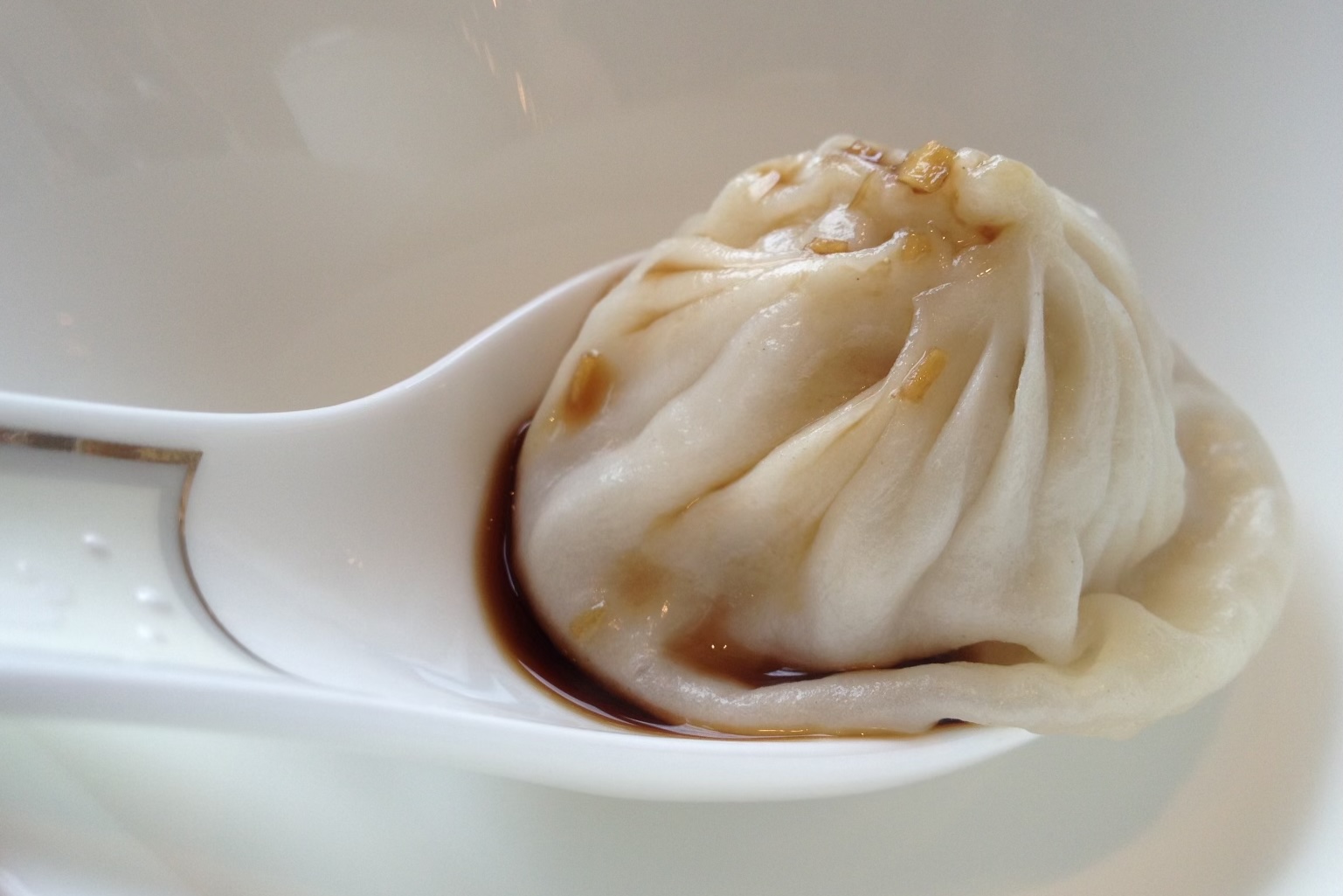Photo of a soup dumpling on a spoon