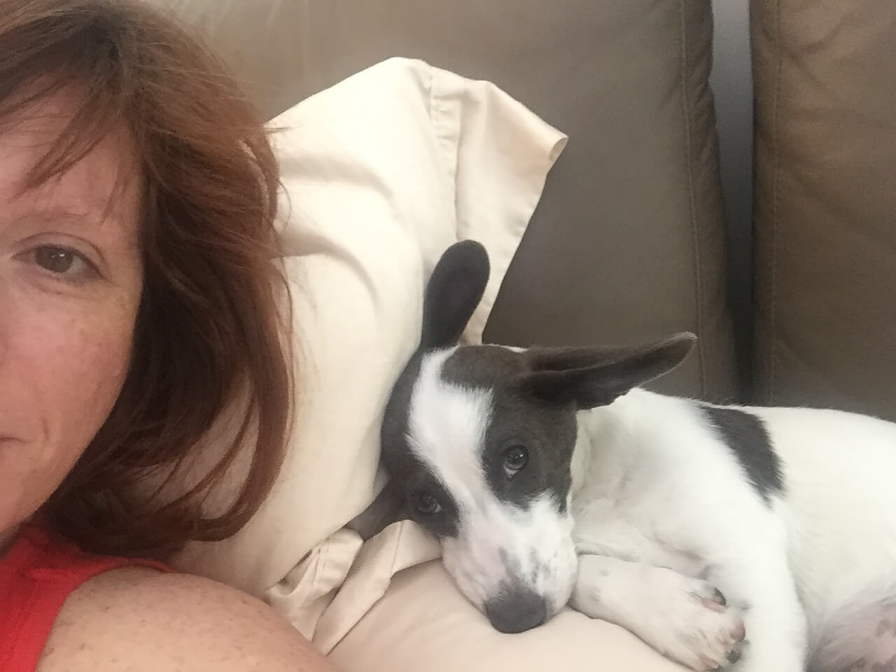 Photo of Wendy and a dog